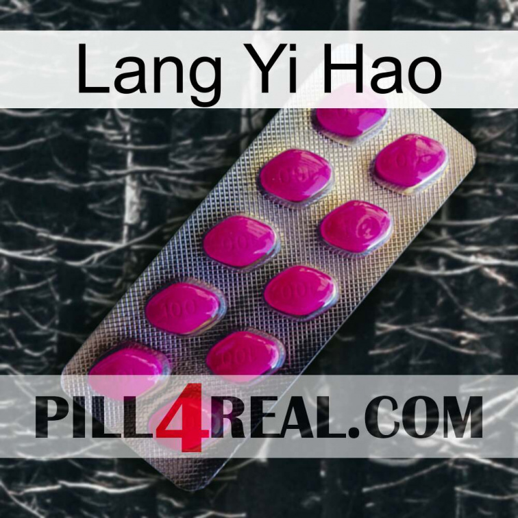 Lang Yi Hao 09